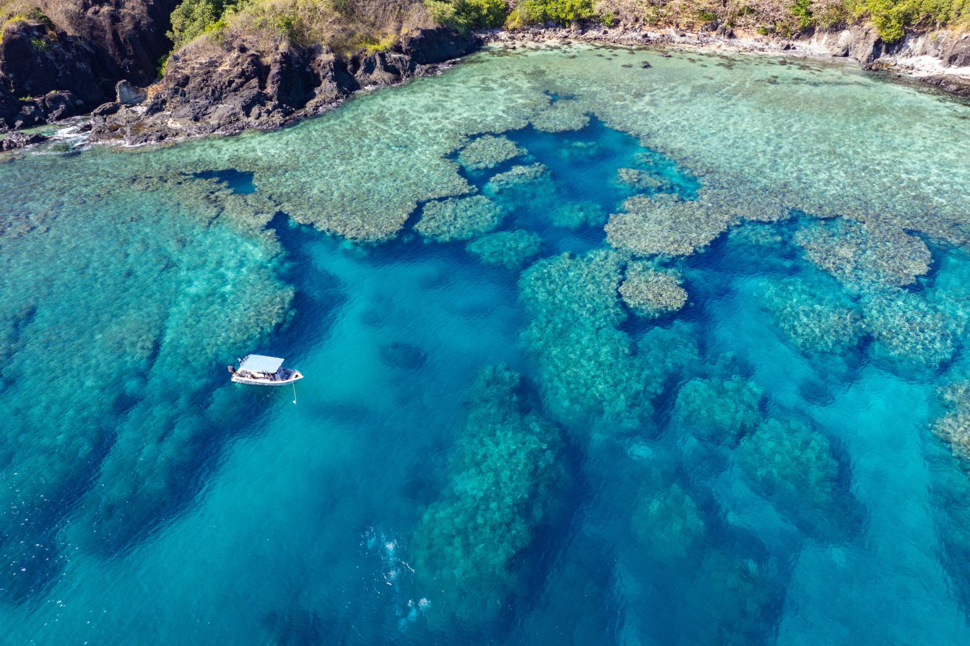 bohol scuba diving